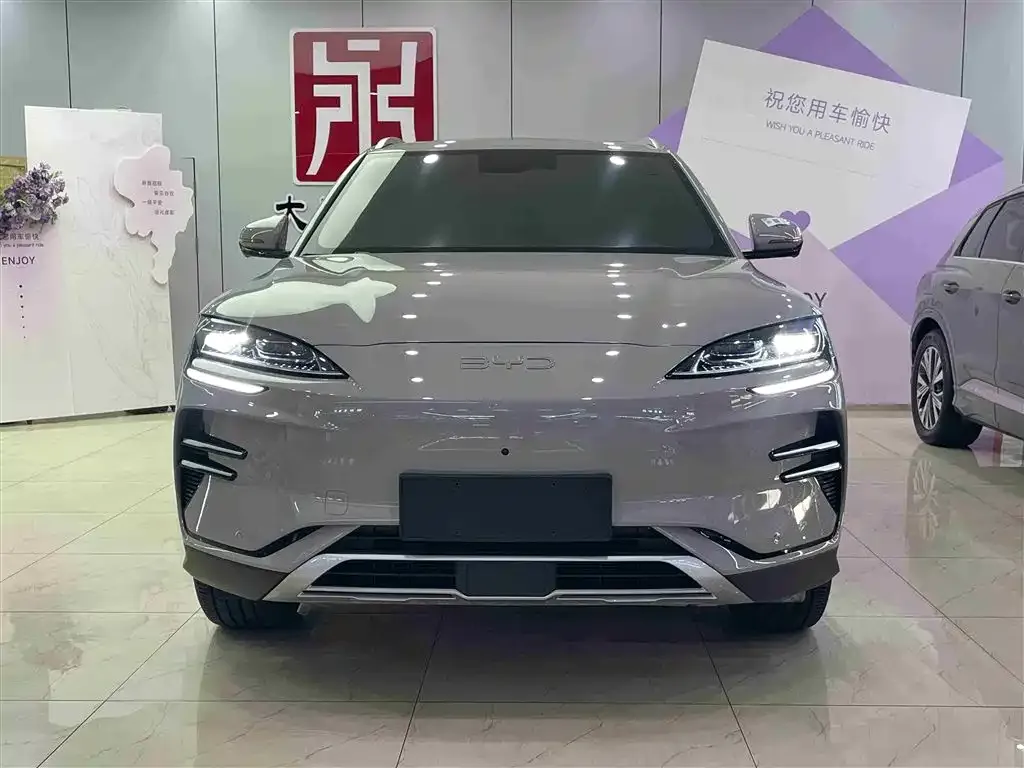 BYD PLUS New Energy 2024 из CN, фото 2