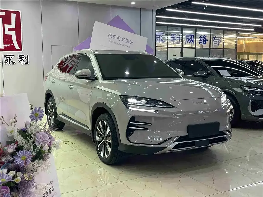 BYD PLUS New Energy 2024 из CN, фото 3