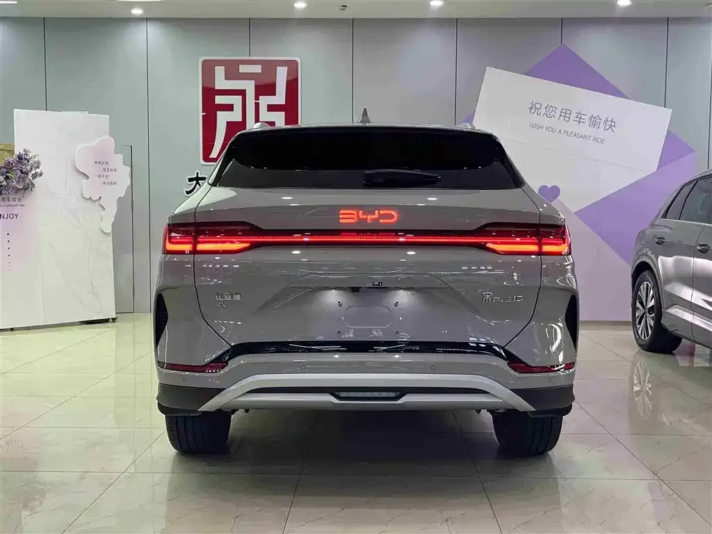 BYD PLUS New Energy 2024 из CN, фото 4