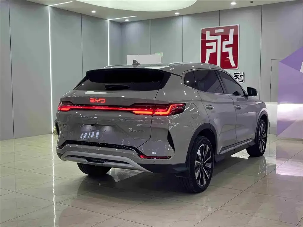 BYD PLUS New Energy 2024 из CN, фото 5