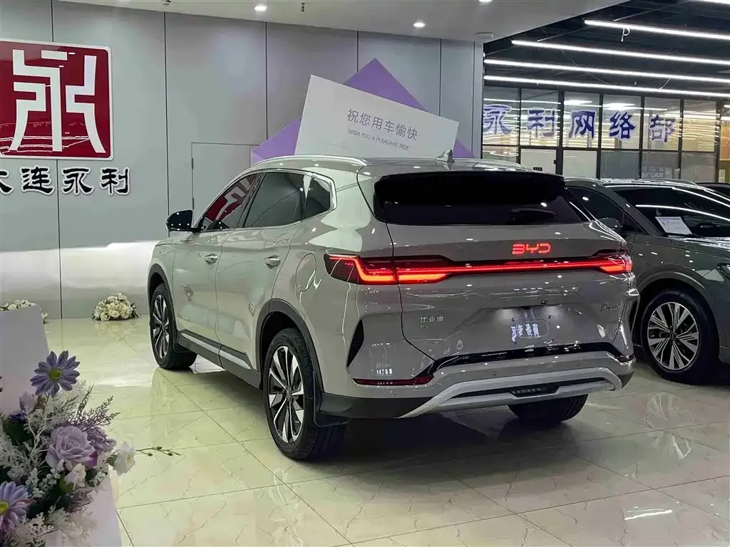 BYD PLUS New Energy 2024 из CN, фото 6