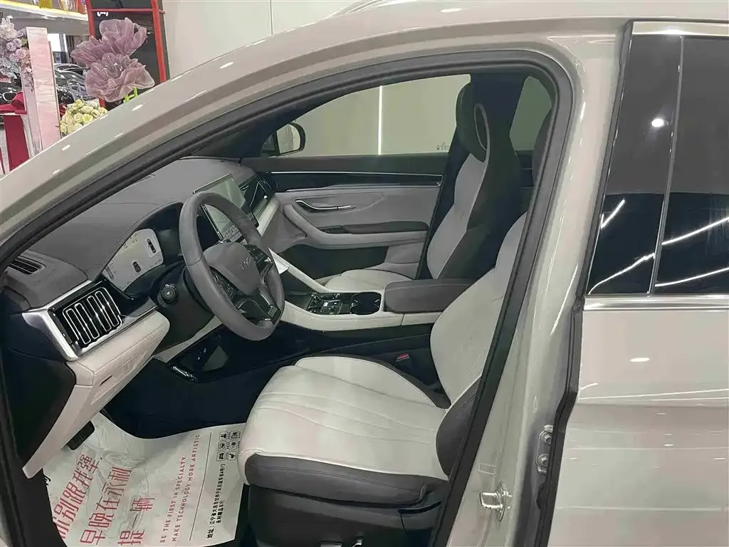 BYD PLUS New Energy 2024 из CN, фото 9