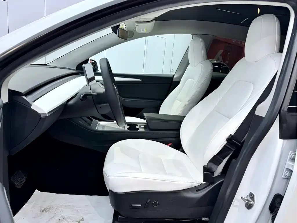 Tesla Model Y 2021 из CN, фото 6