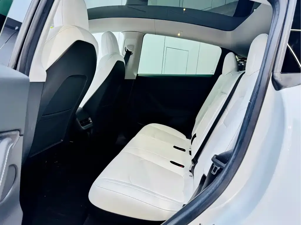 Tesla Model Y 2021 из CN, фото 3