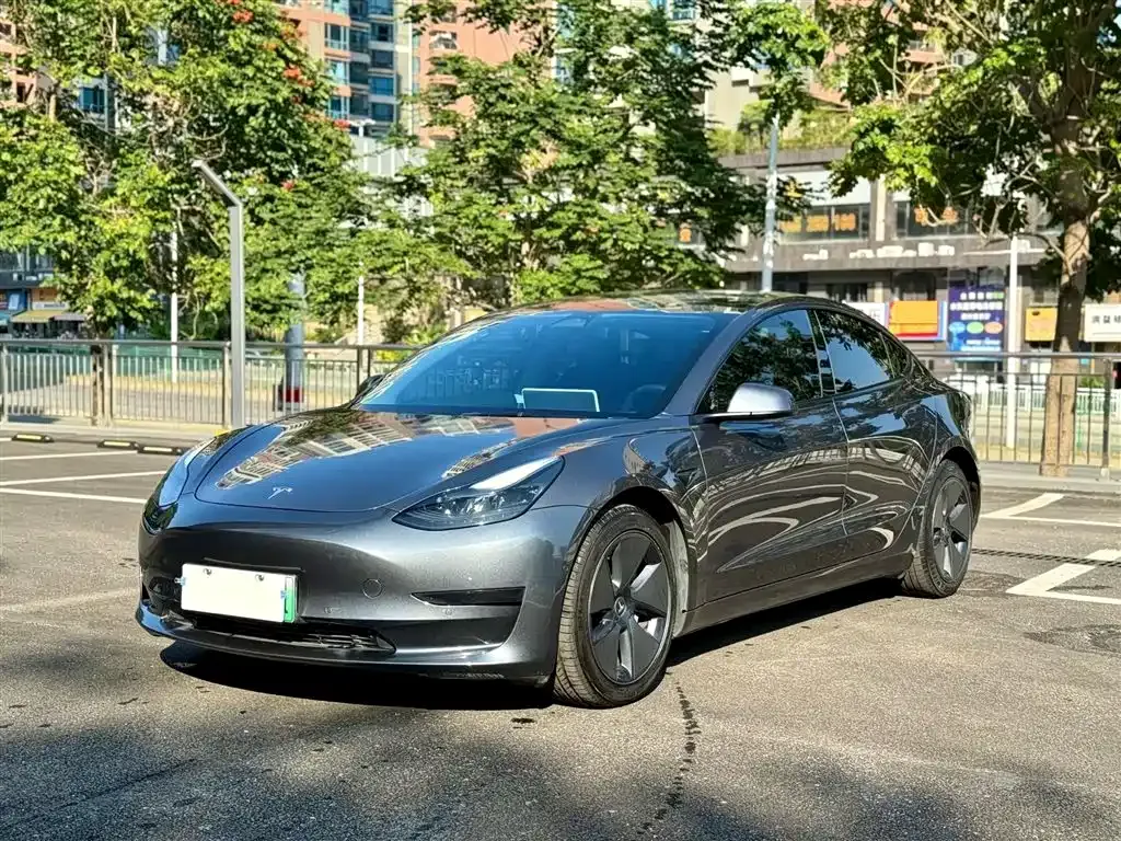 Tesla Model 3 2021 из CN, фото 1