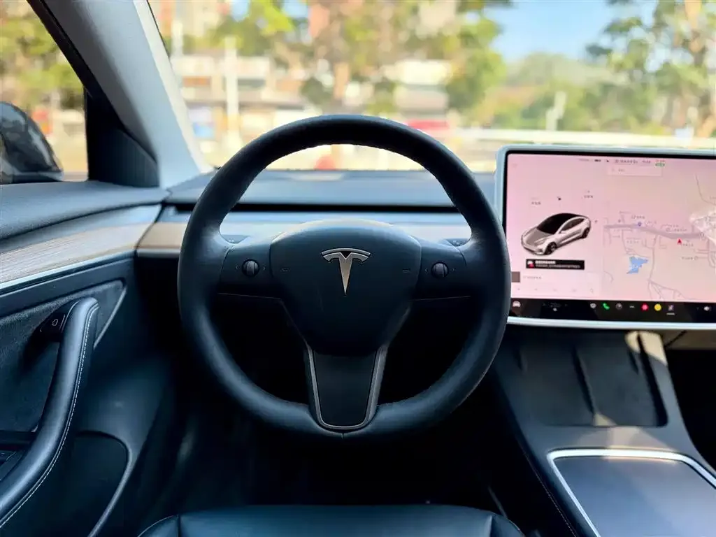 Tesla Model 3 2021 из CN, фото 3