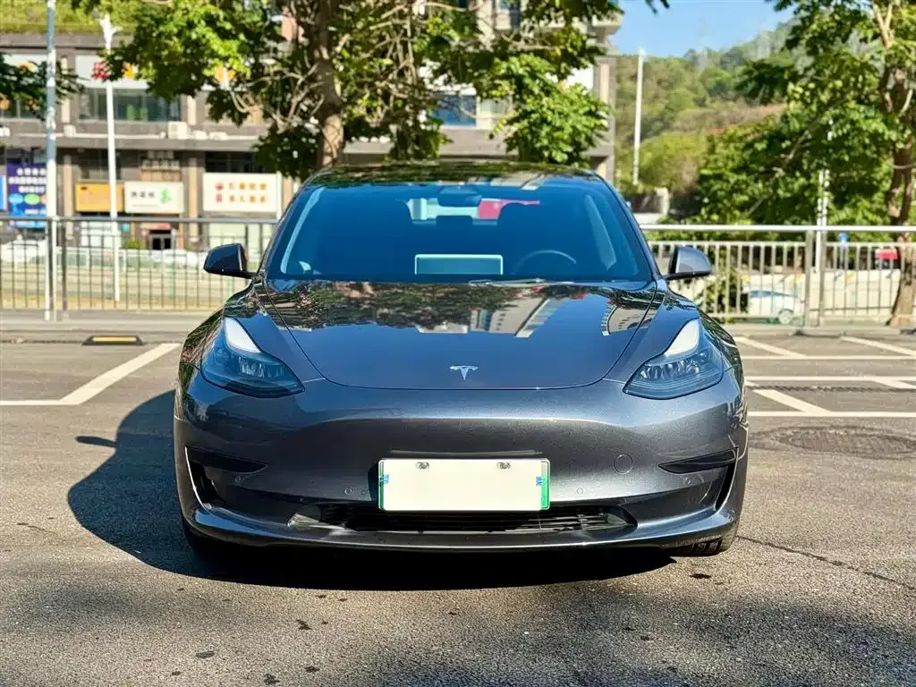 Tesla Model 3 2021 из CN, фото 5
