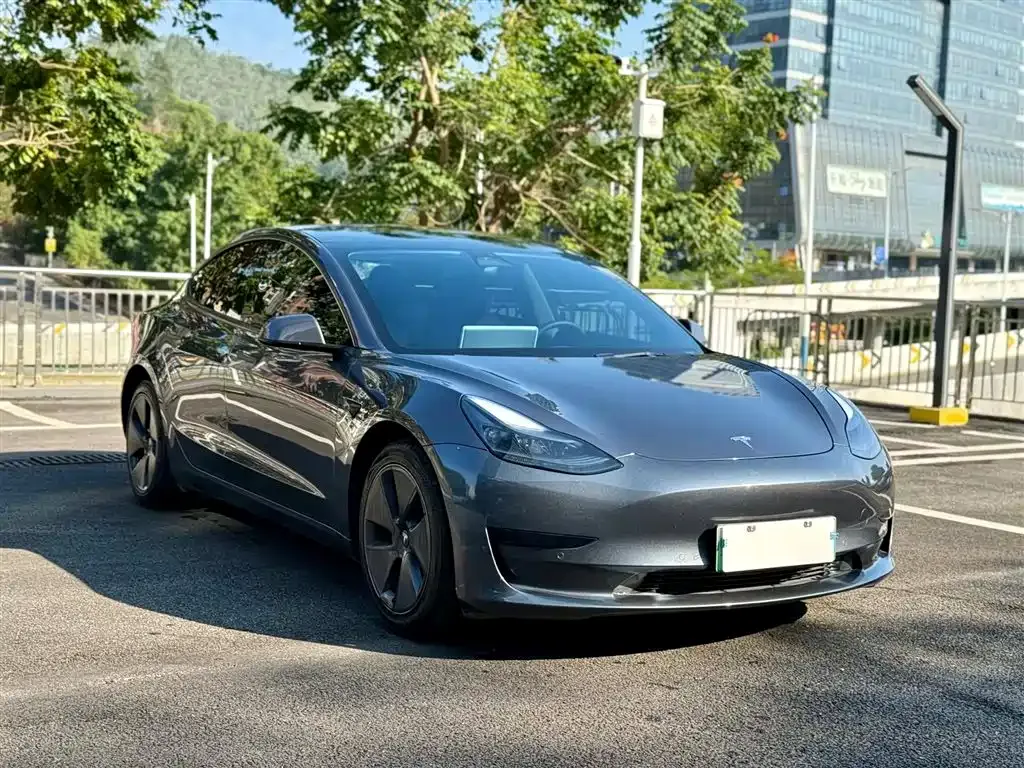 Tesla Model 3 2021 из CN, фото 6