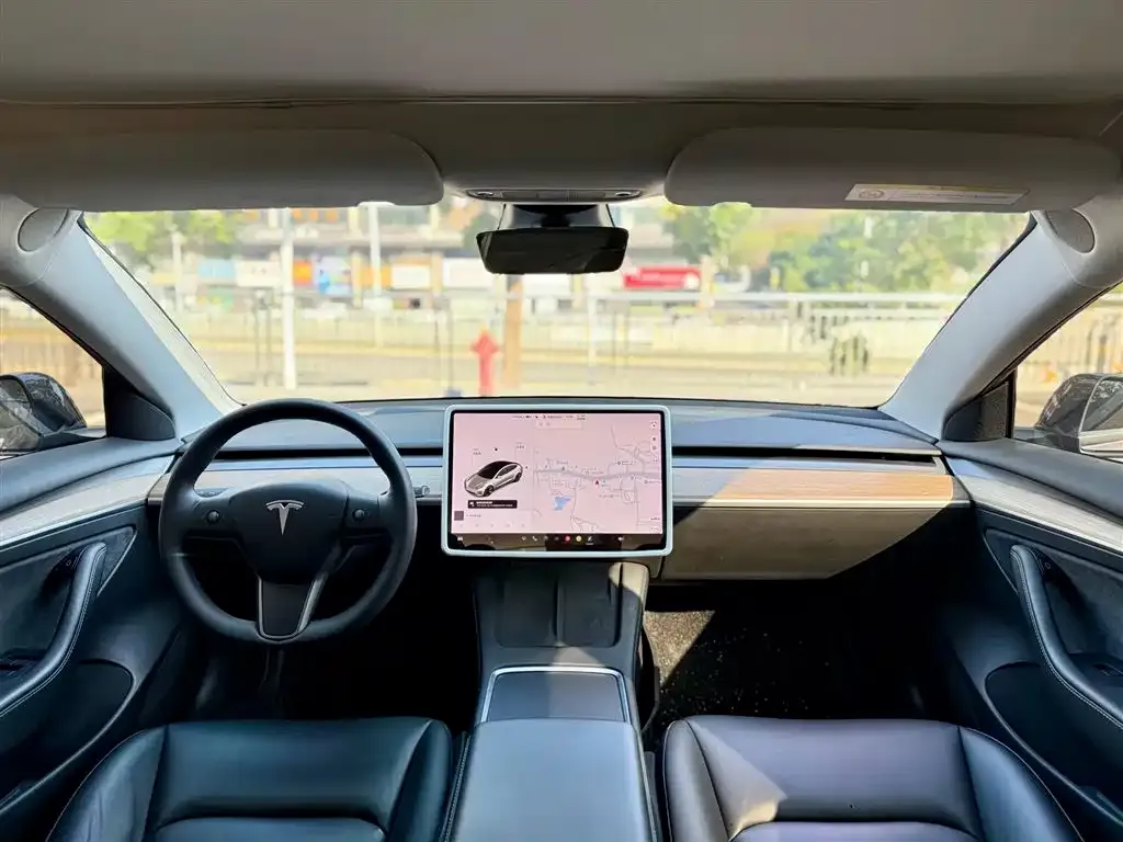 Tesla Model 3 2021 из CN, фото 2