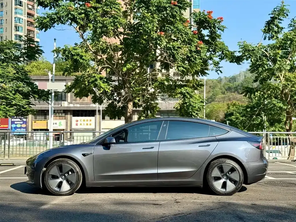 Tesla Model 3 2021 из CN, фото 10