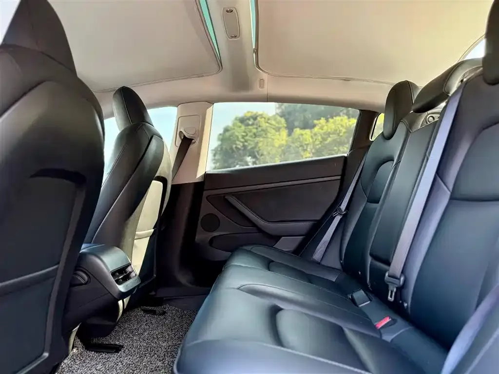 Tesla Model 3 2021 из CN, фото 7