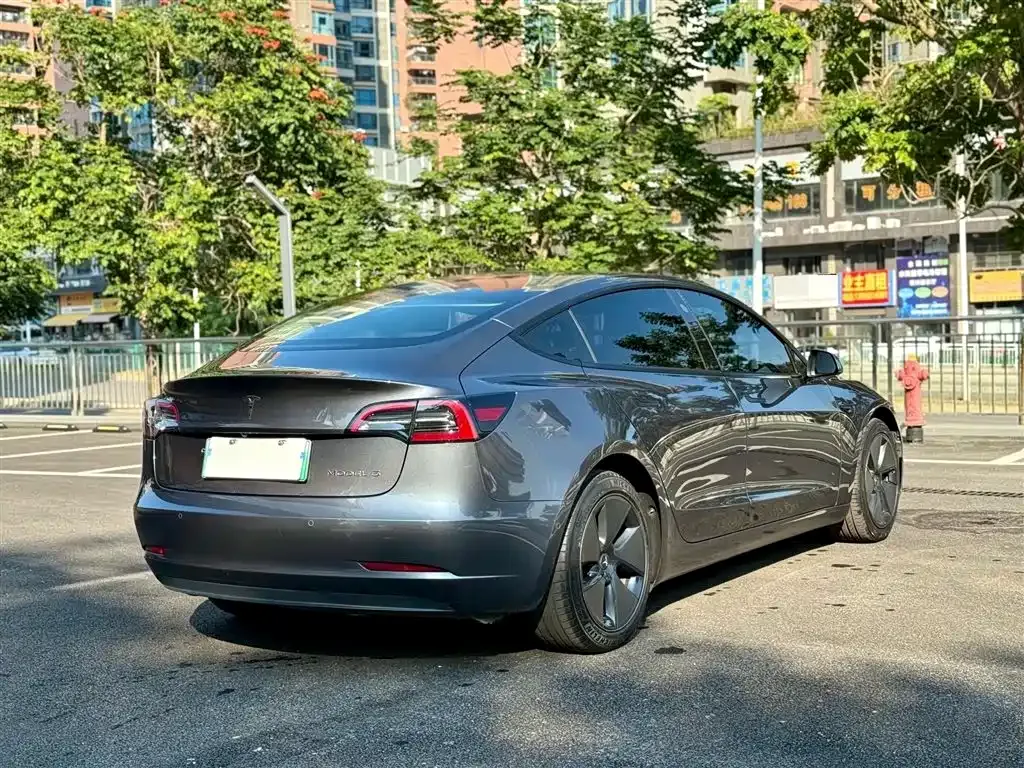 Tesla Model 3 2021 из CN, фото 9