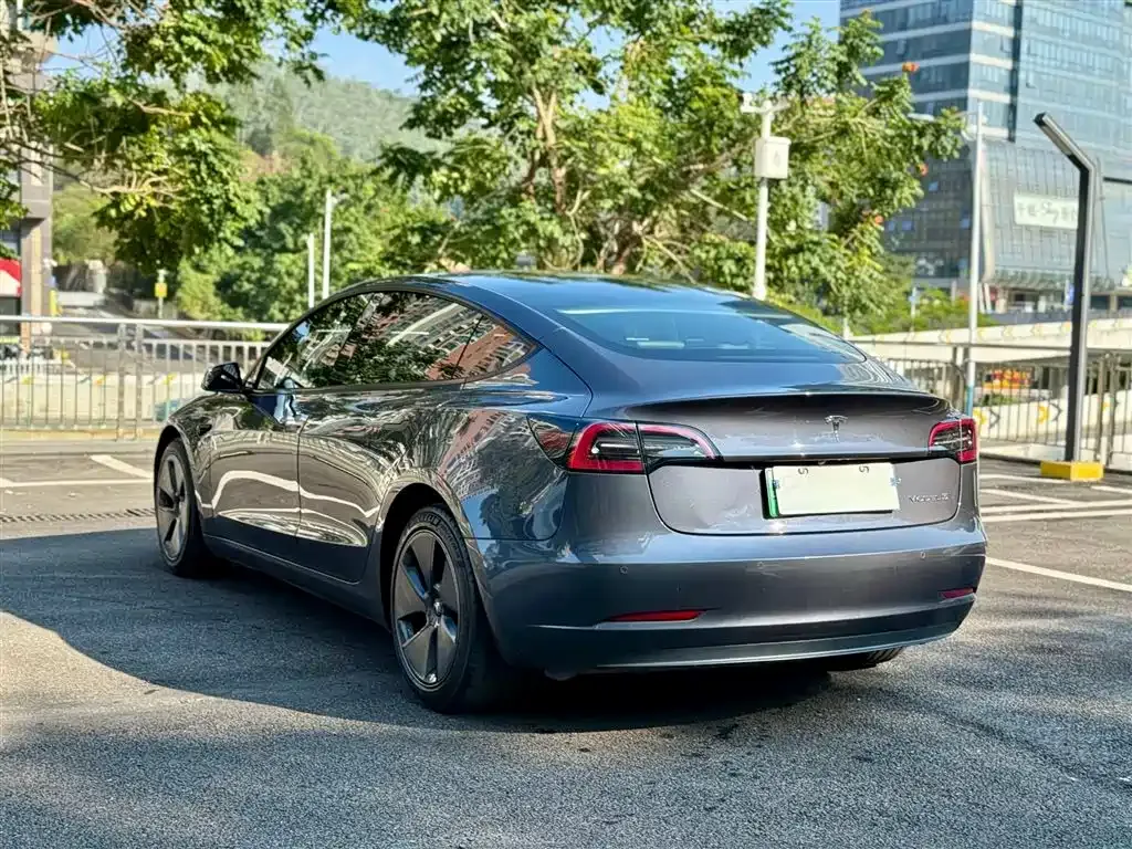 Tesla Model 3 2021 из CN, фото 8
