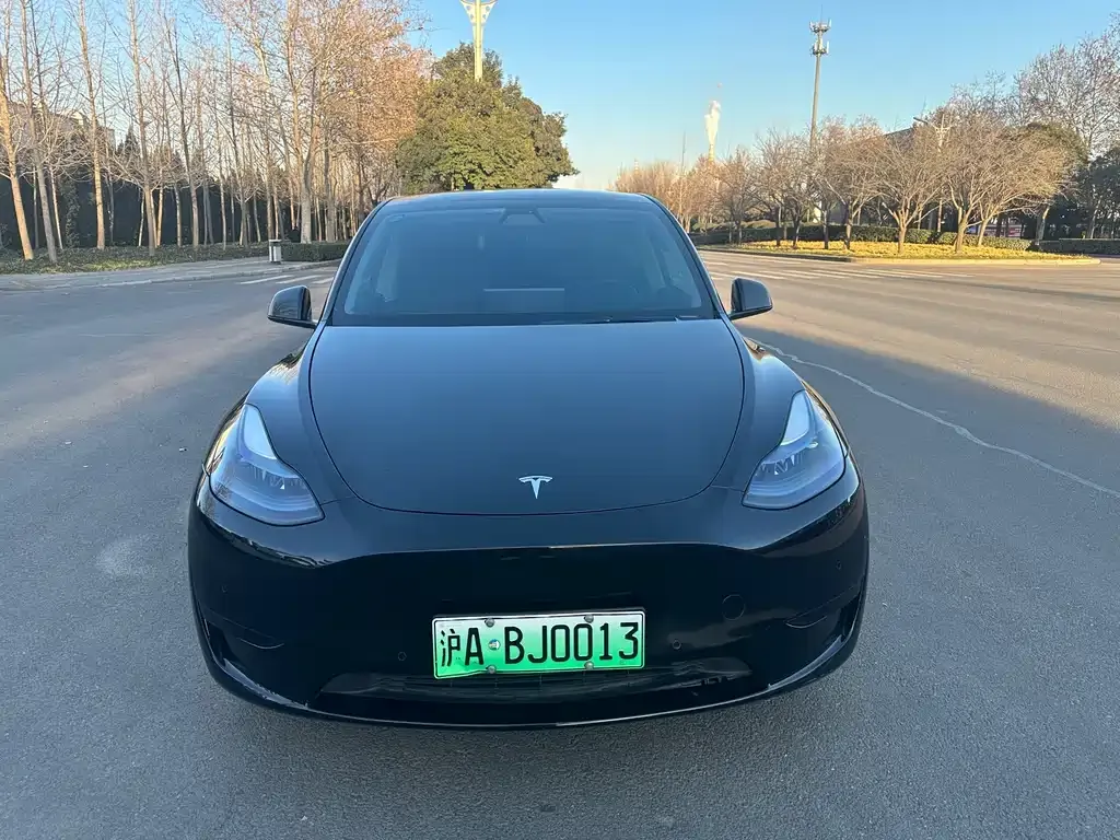 Tesla Model Y 2023 из CN, фото 6