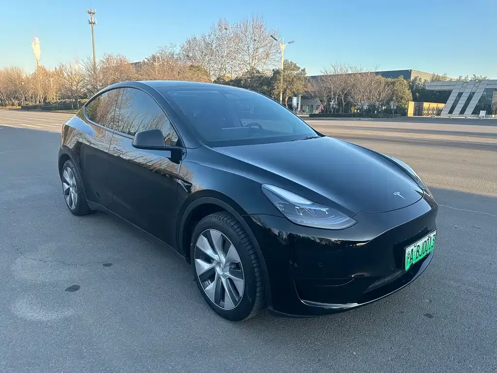 Tesla Model Y 2023 из CN, фото 5