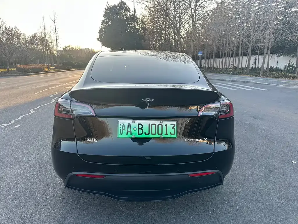 Tesla Model Y 2023 из CN, фото 8