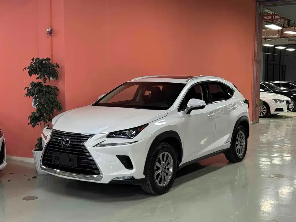 Lexus NX 2021 из CN, фото 1