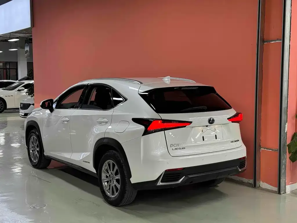 Lexus NX 2021 из CN, фото 4