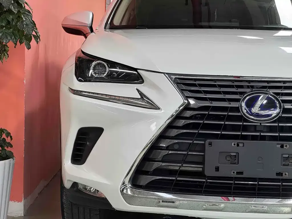 Lexus NX 2021 из CN, фото 5