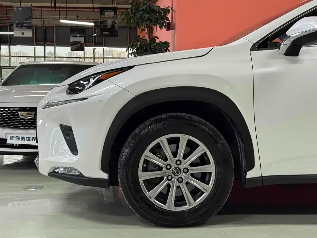 Lexus NX 2021 из CN, фото 6
