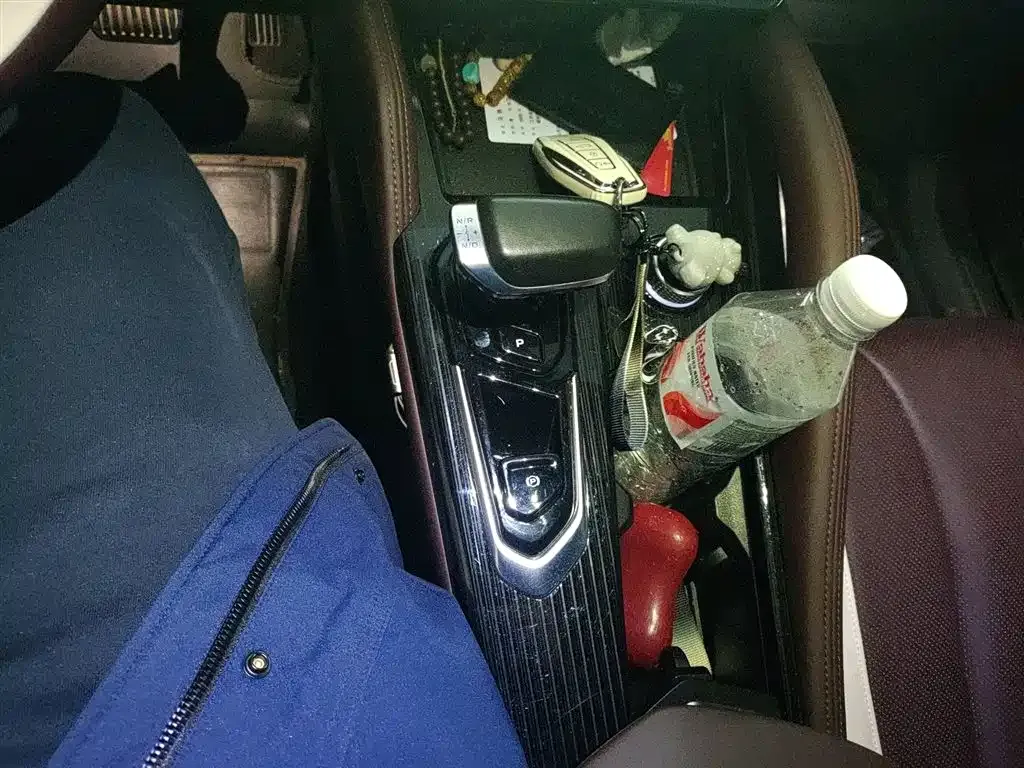 Geely Xingyue L 2024 из CN, фото 10