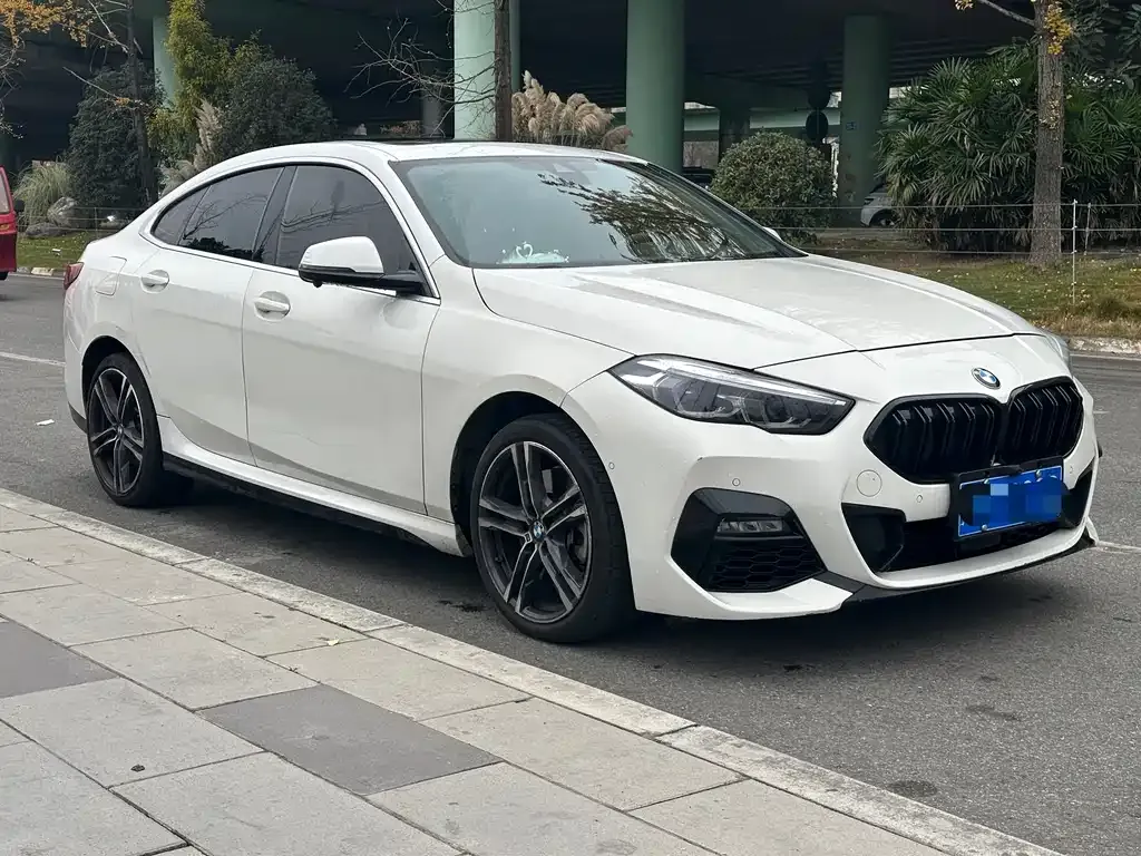 BMW 2 Series (Import) 2023 из CN, фото 7