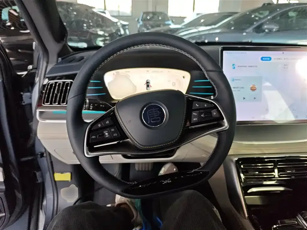 BYD Tang New Energy 2023 из CN, фото 9