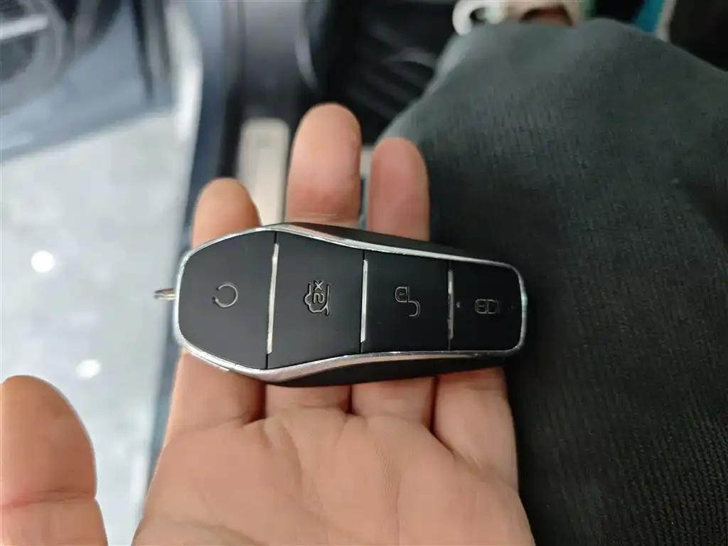 BYD Tang New Energy 2023 из CN, фото 7