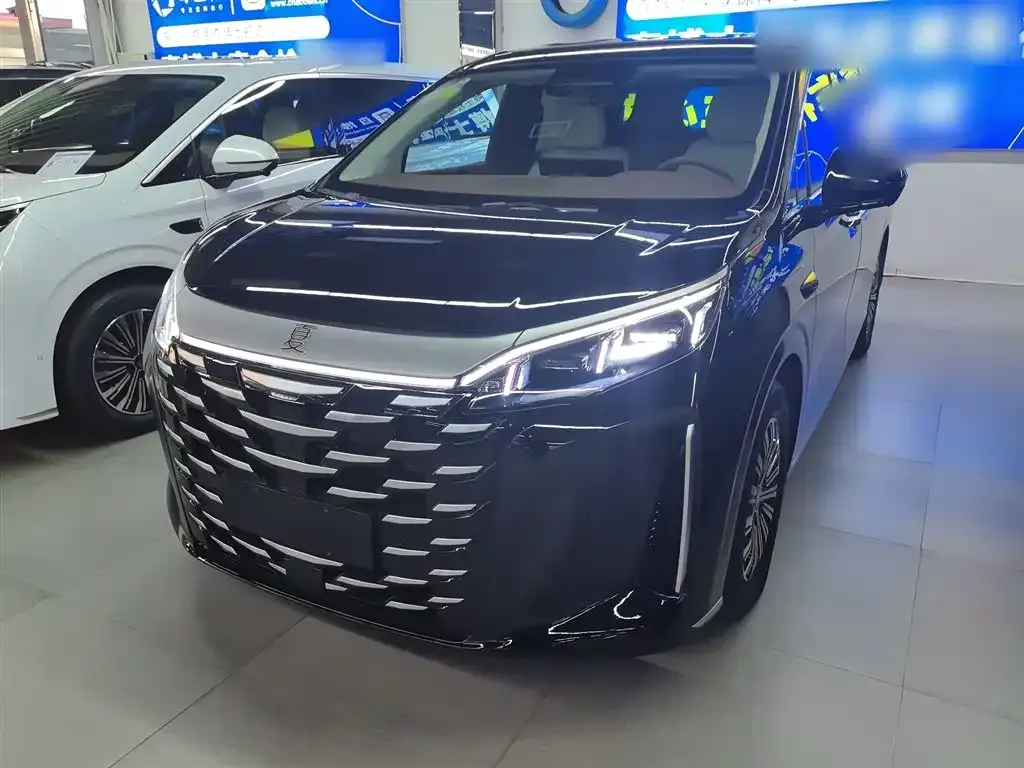 BYD Xia 2025 из CN, фото 1