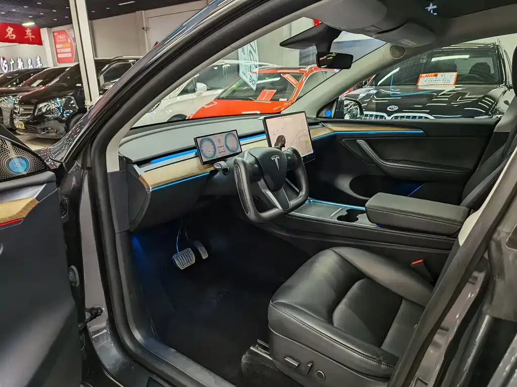 Tesla Model Y 2021 из CN, фото 3