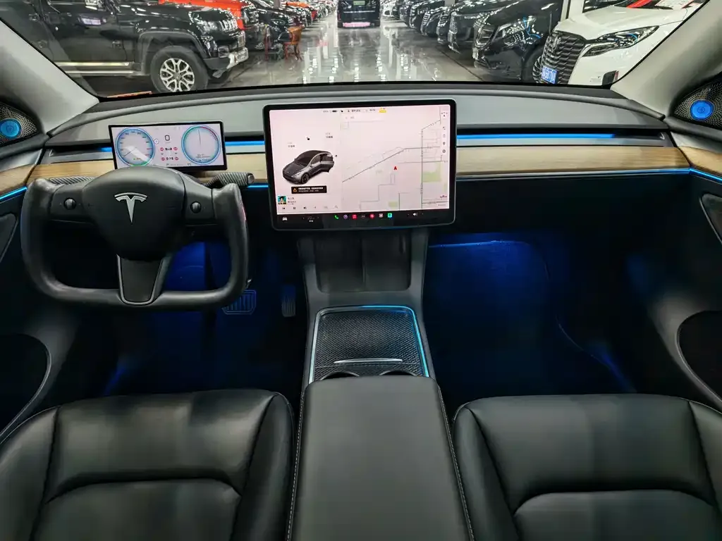Tesla Model Y 2021 из CN, фото 5