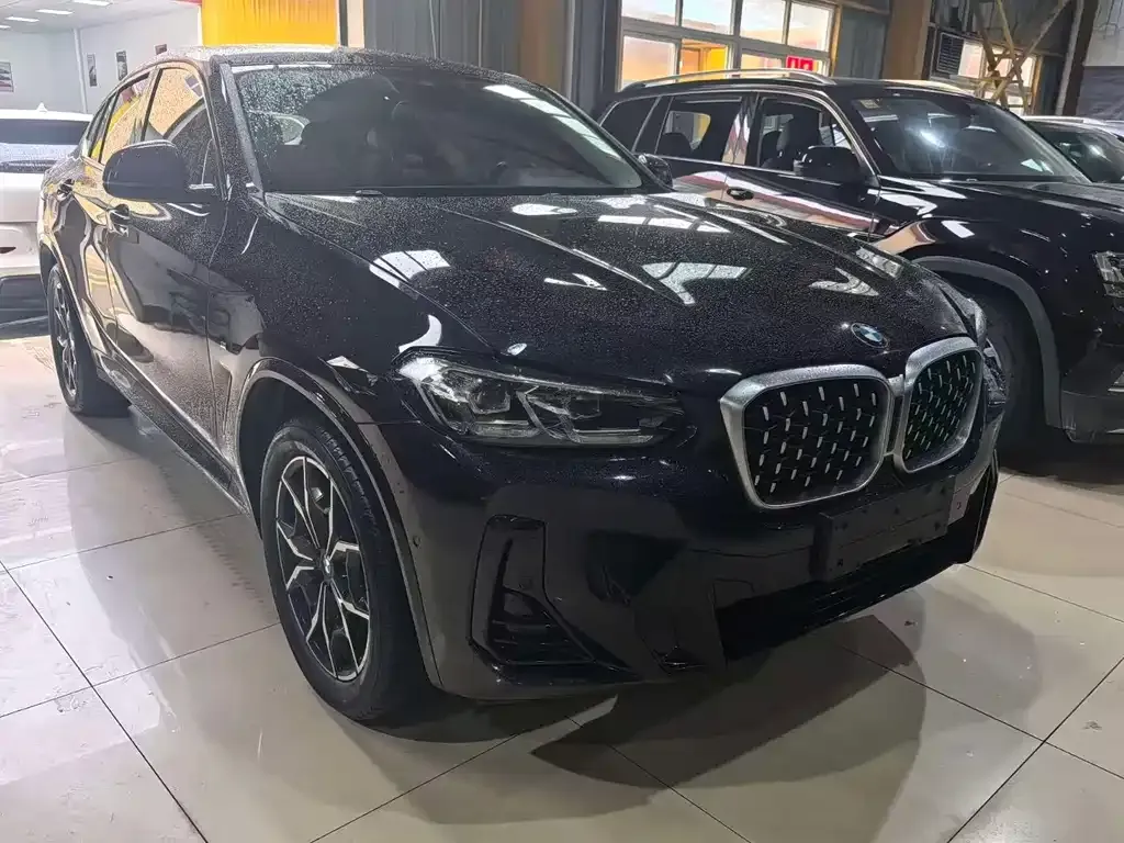 BMW X4 2022 из CN, фото 9
