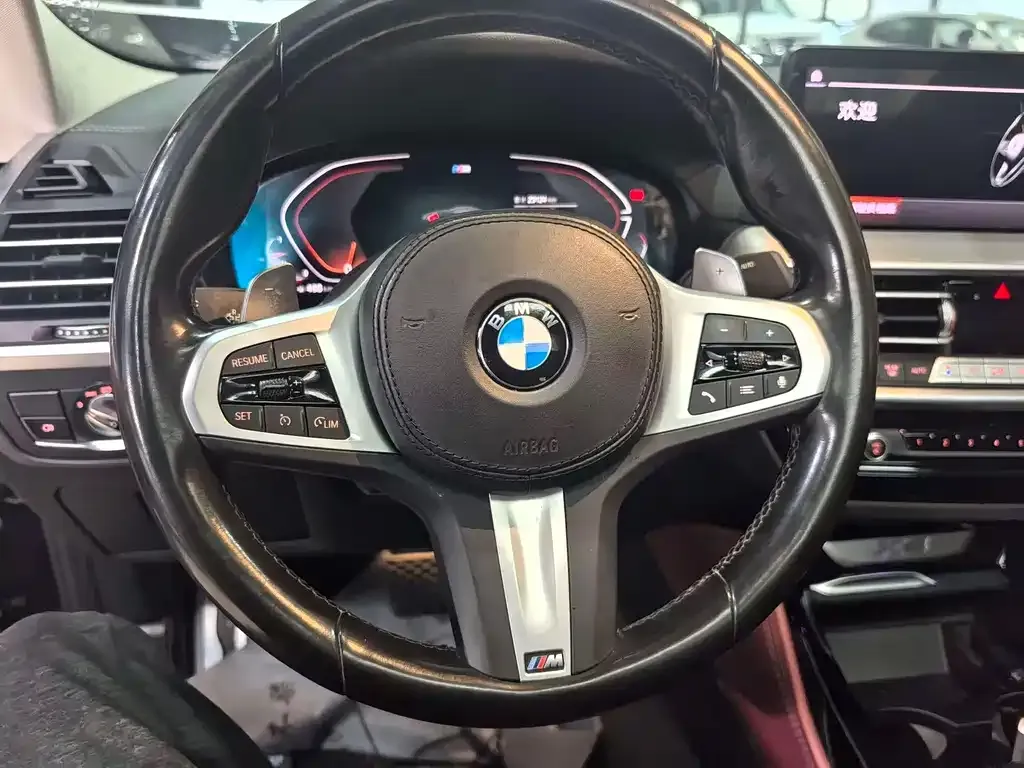 BMW X4 2022 из CN, фото 6