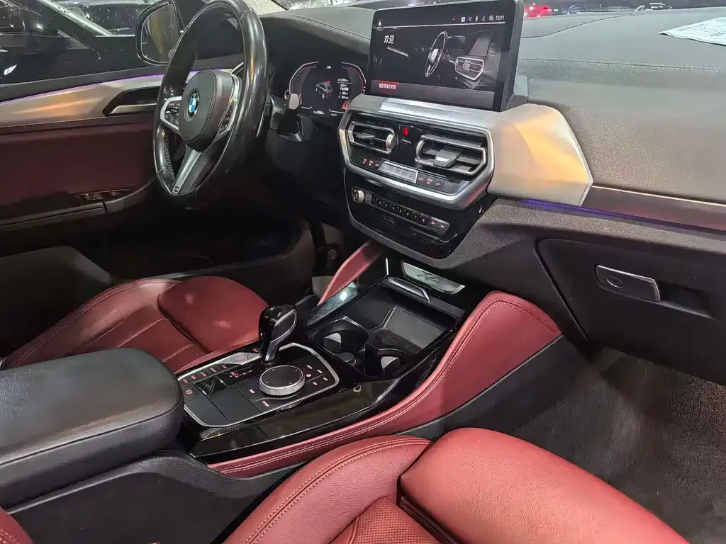 BMW X4 2022 из CN, фото 10