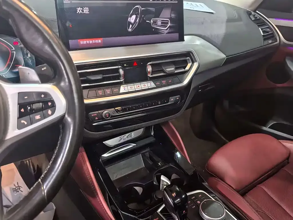 BMW X4 2022 из CN, фото 5
