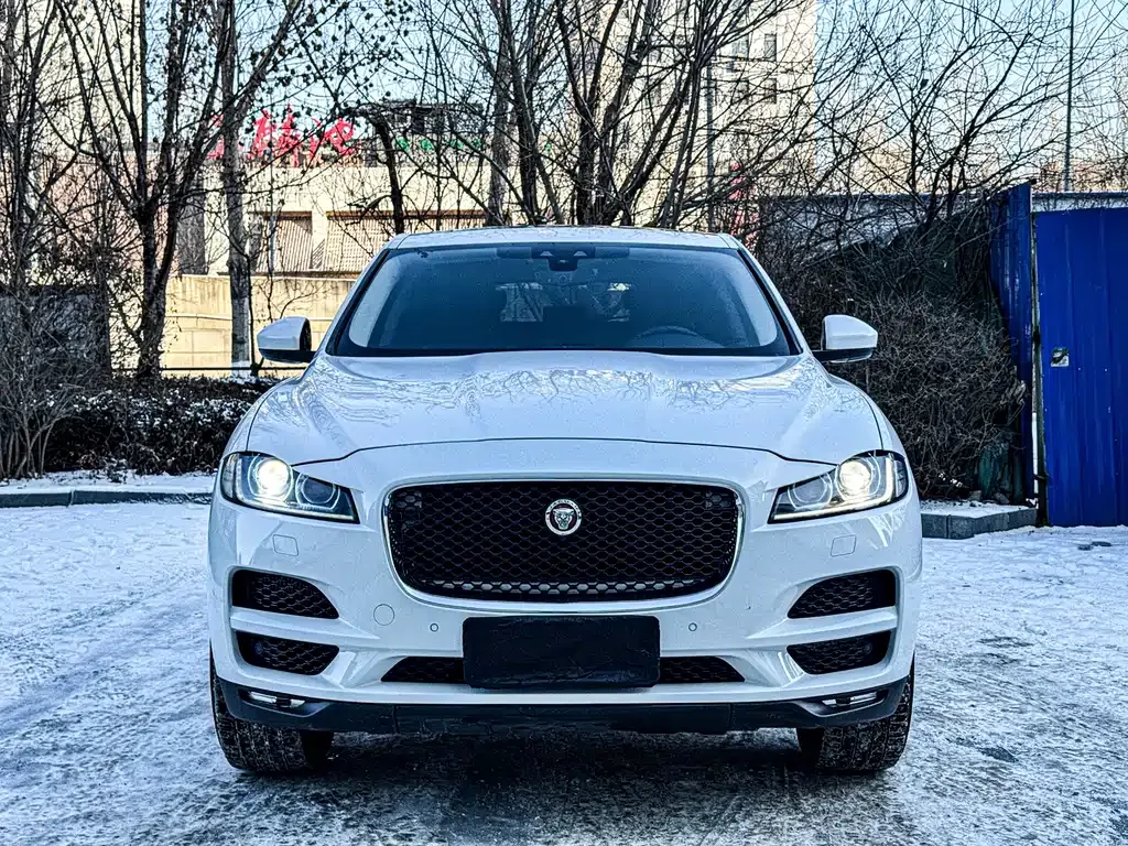 Jaguar F-PACE 2021 из CN, фото 1