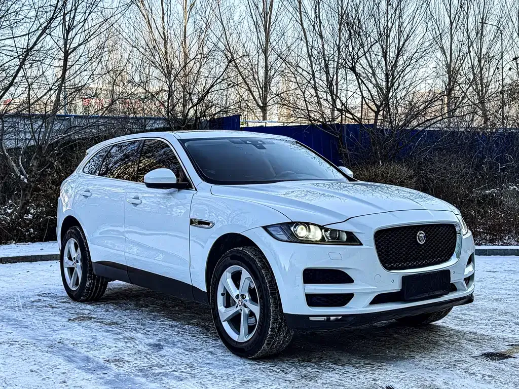 Jaguar F-PACE 2021 из CN, фото 10