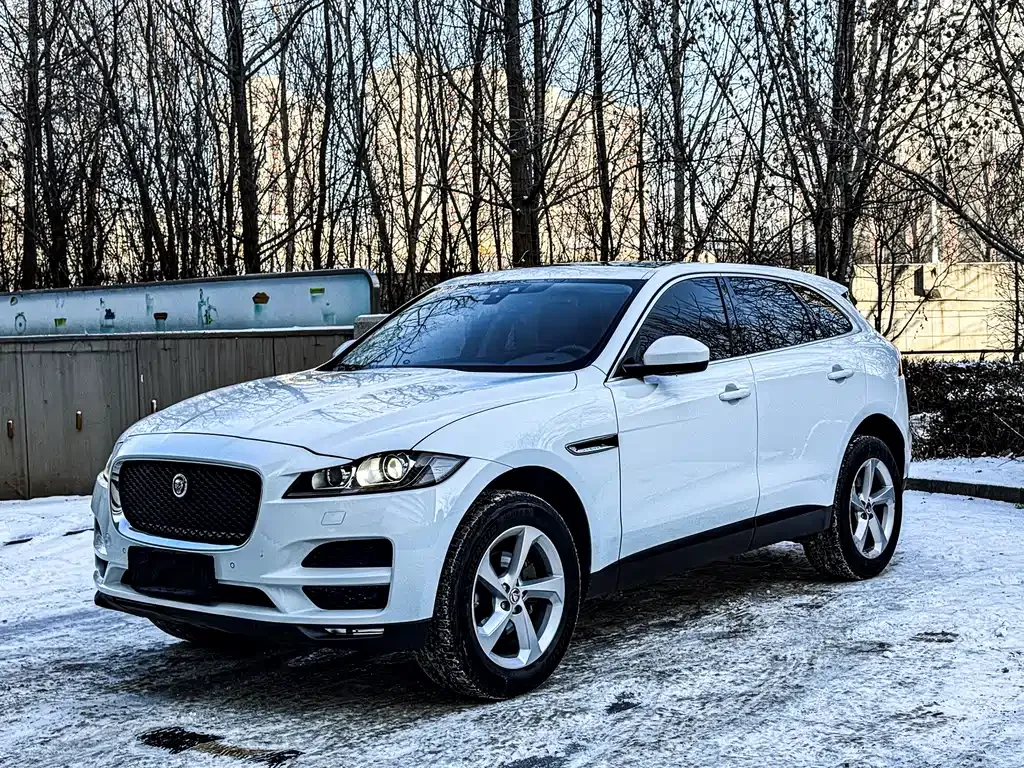 Jaguar F-PACE 2021 из CN, фото 8
