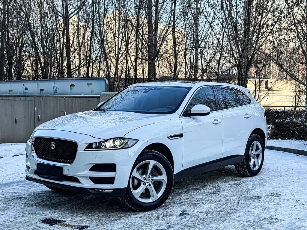Jaguar F-PACE 2021 из CN, фото 6