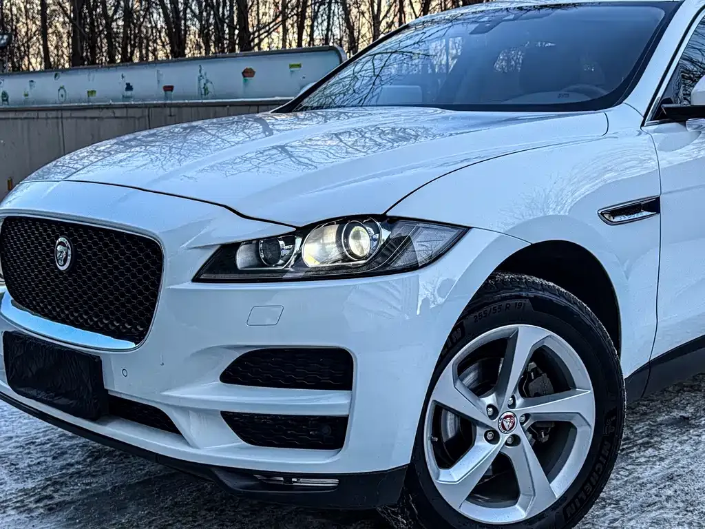 Jaguar F-PACE 2021 из CN, фото 4