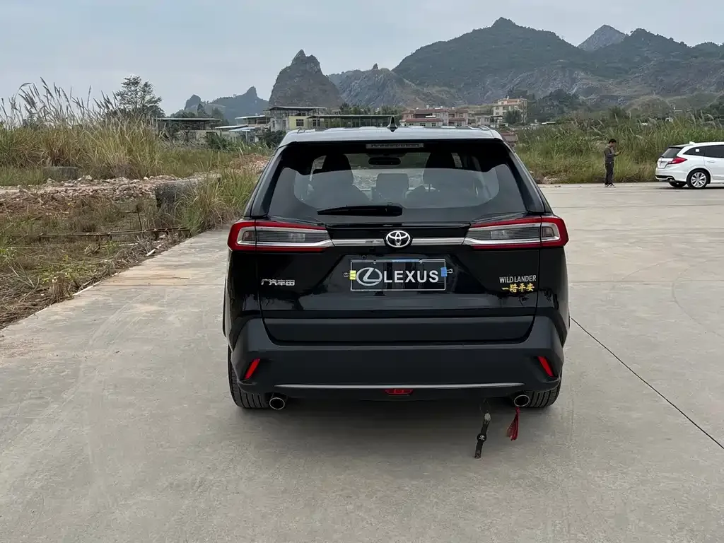 Toyota Wildlander 2023 из CN, фото 5