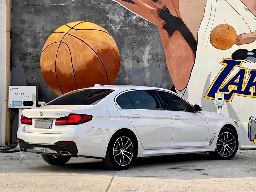 BMW 5 Series 2022 из CN, фото 3