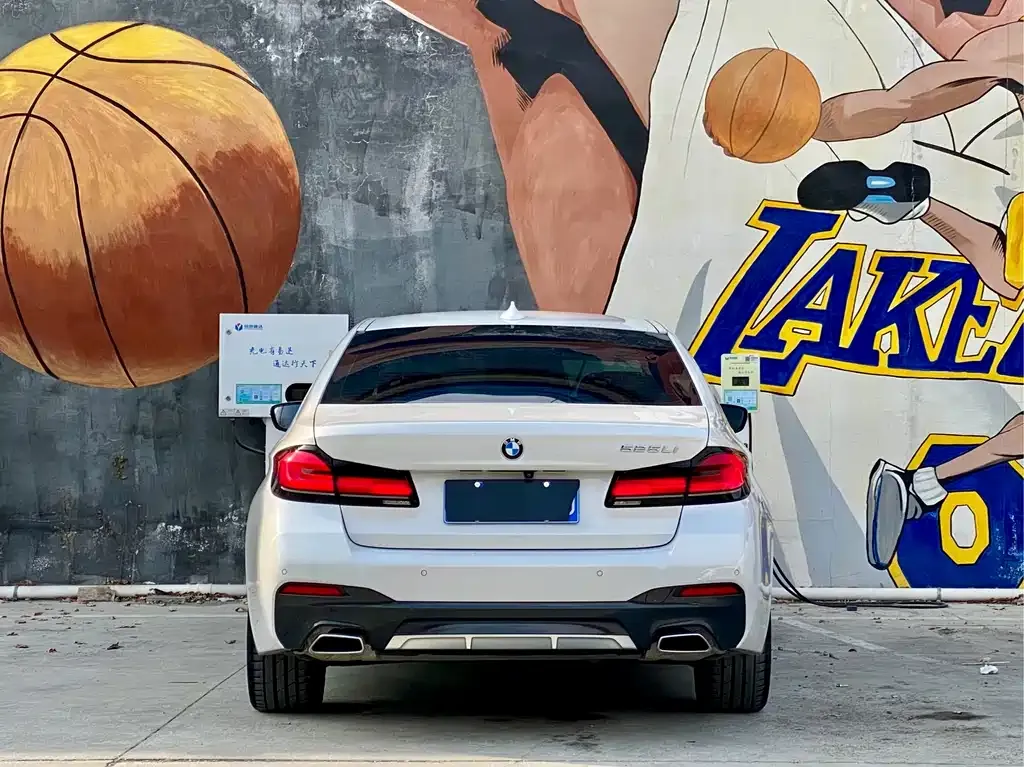 BMW 5 Series 2022 из CN, фото 4