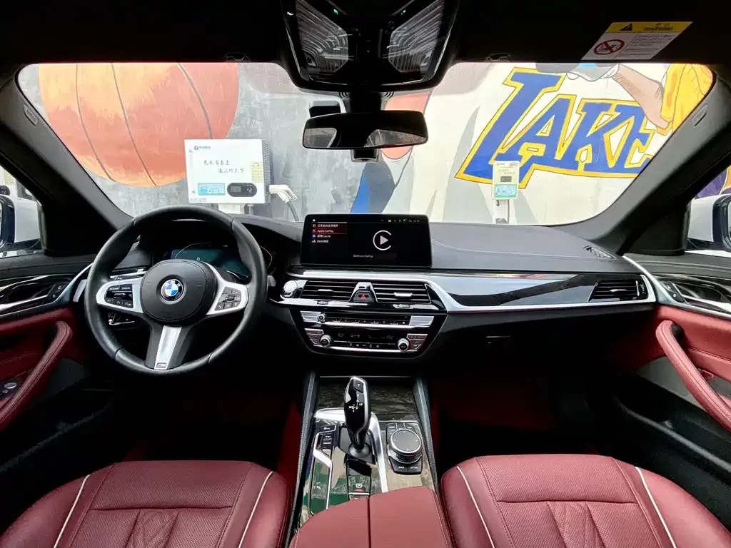 BMW 5 Series 2022 из CN, фото 7