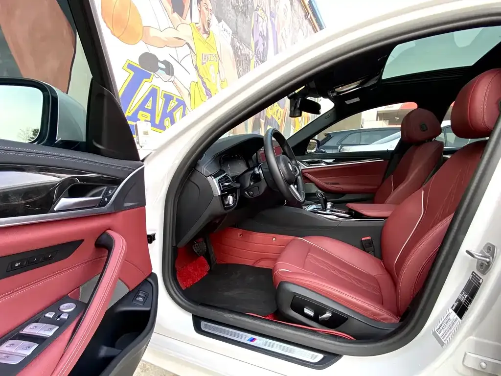 BMW 5 Series 2022 из CN, фото 8