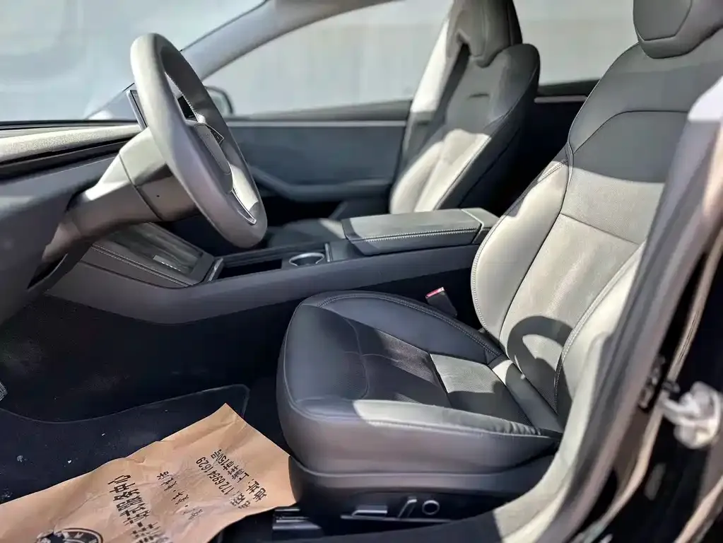 Tesla Model 3 2023 из CN, фото 7