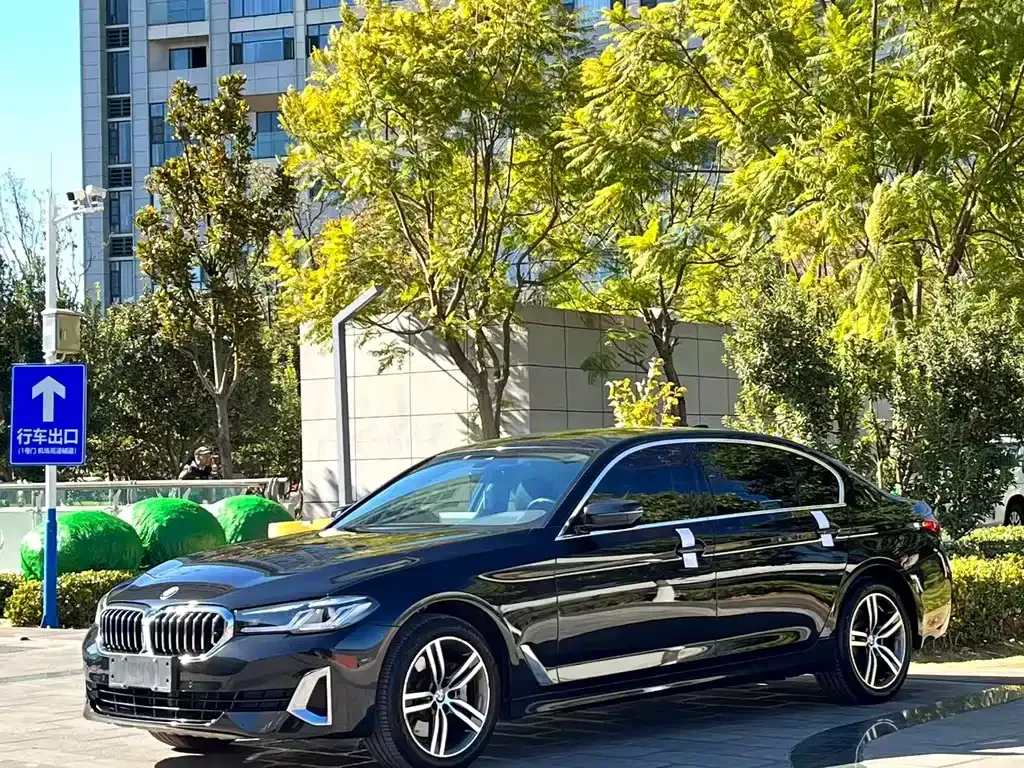 BMW 5 Series 2021 из CN, фото 1