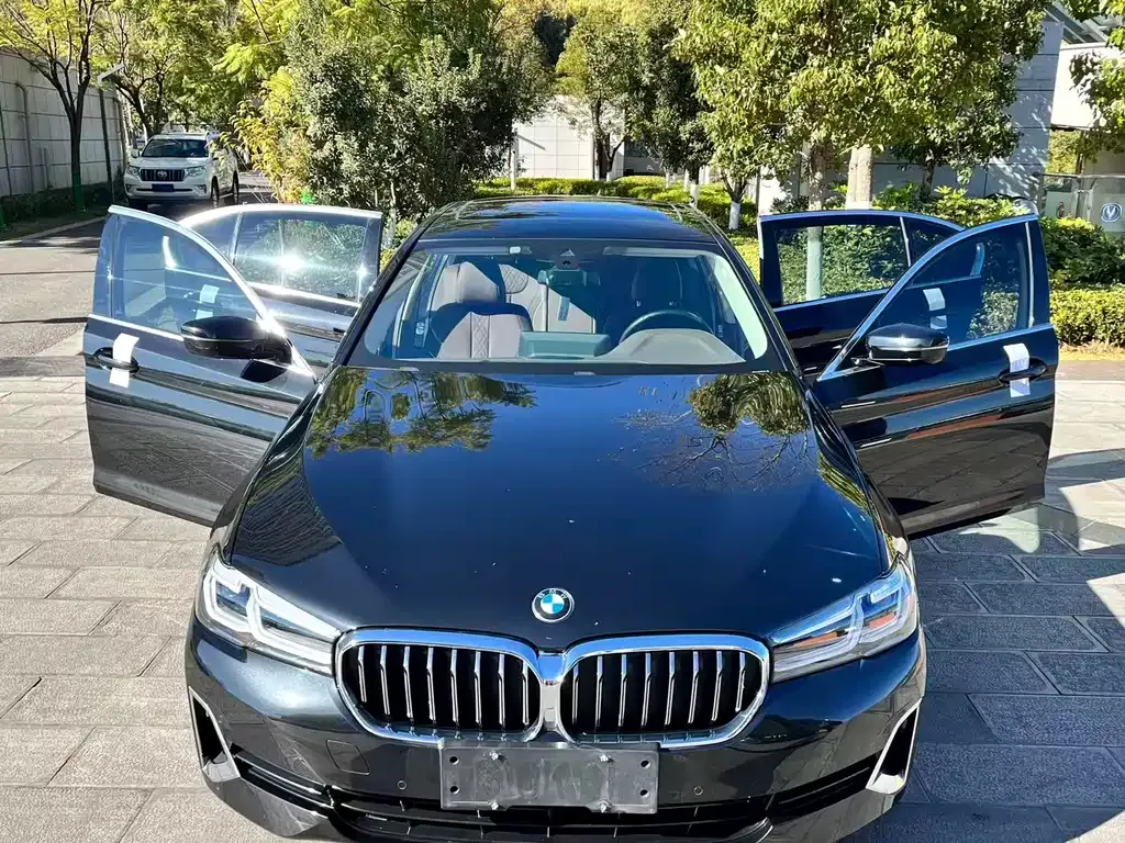 BMW 5 Series 2021 из CN, фото 9
