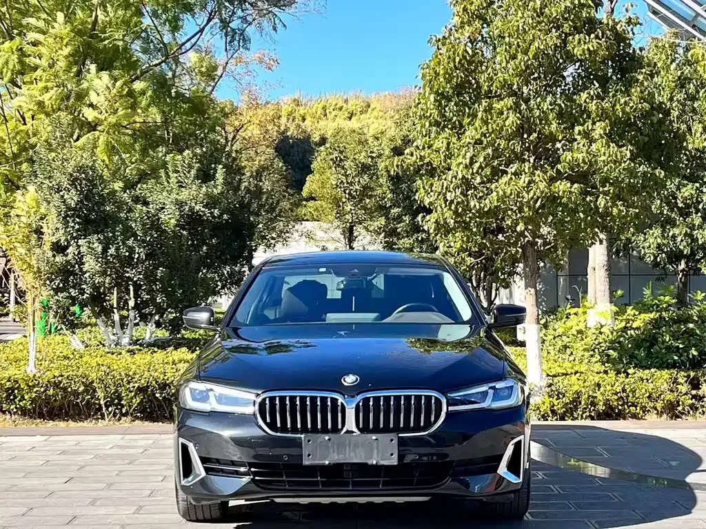 BMW 5 Series 2021 из CN, фото 8