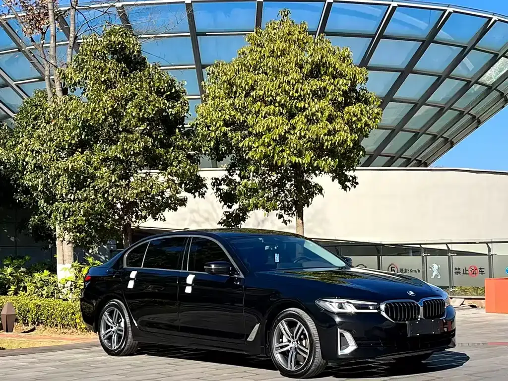 BMW 5 Series 2021 из CN, фото 6
